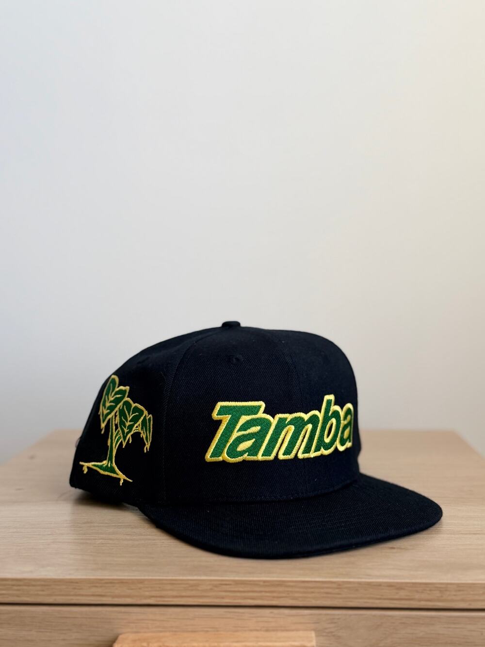 Snapback Hat